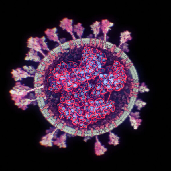 imagen real Coronavirus SARS-CoV-2