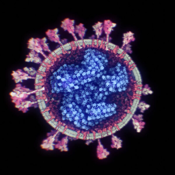 foto Coronavirus SARS-CoV-2