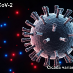 Photorealistic image of a microscopic view of the SARS-CoV-2 virus with mutated spike proteins, labeled 'Cicada variant', in a dark background with glowing red and blue particles.