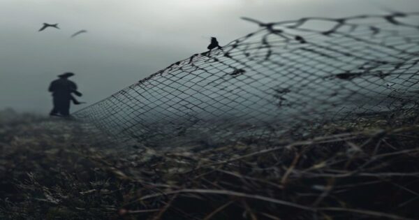 Tráfico de aves migratorias: una crisis global silenciada 2 A photorealistic close-up of a mist net trapping small migratory birds in a Mediterranean shrubland at dawn, with blurred silhouettes of poachers in the background. The scene is grim but detailed, sho